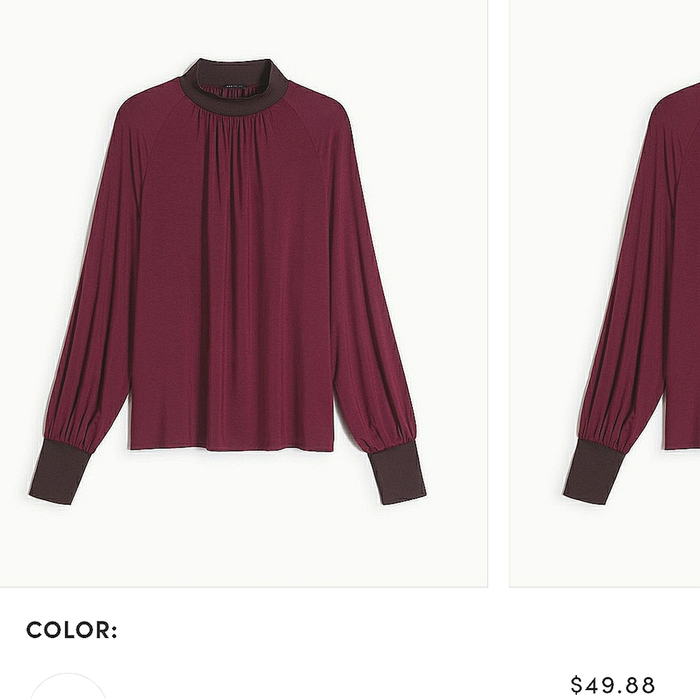 NWT Ann Taylor smock neck Trim Top